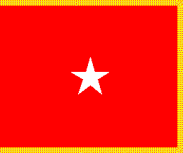 individual flag - US army brigadier general